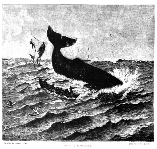 19th century whaling tales. vist0089t